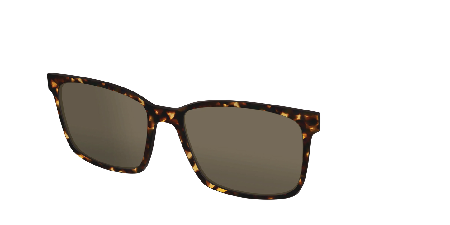 The Non-Polarized Tortoise Sun Top