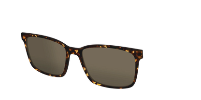 The Non-Polarized Tortoise Sun Top