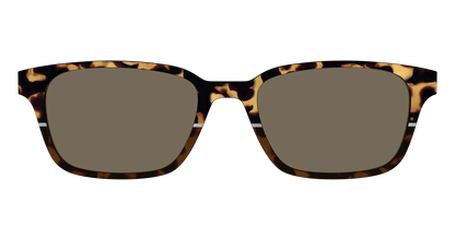 The Polarized Chic Tortoise Split Sun Top