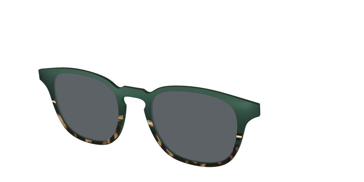 The Polarized Spruce Tortoise Sun Top