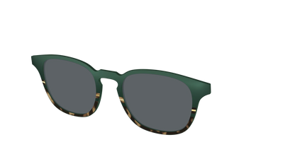 The Polarized Spruce Tortoise Sun Top
