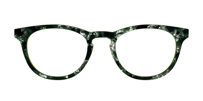 The Olive Pearl Tortoise