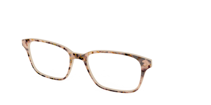 The Almond Tortoise with Gold Streaks