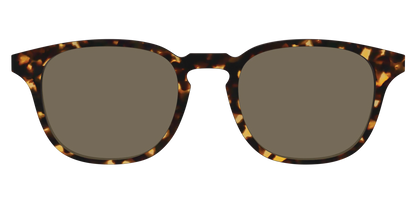 The Non-Polarized Tortoise Sun Top