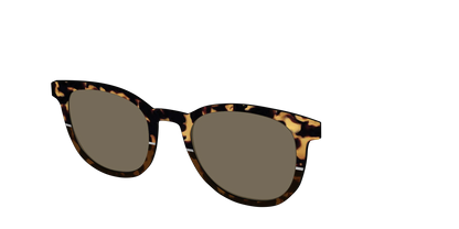 The Polarized Chic Tortoise Split Sun Top