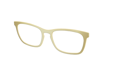The Gold Mirror