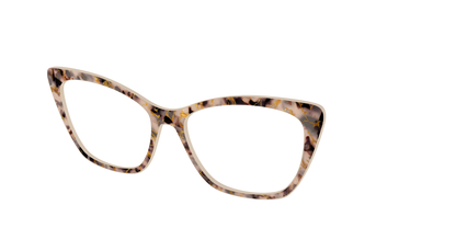 The Almond Tortoise with Gold Streaks