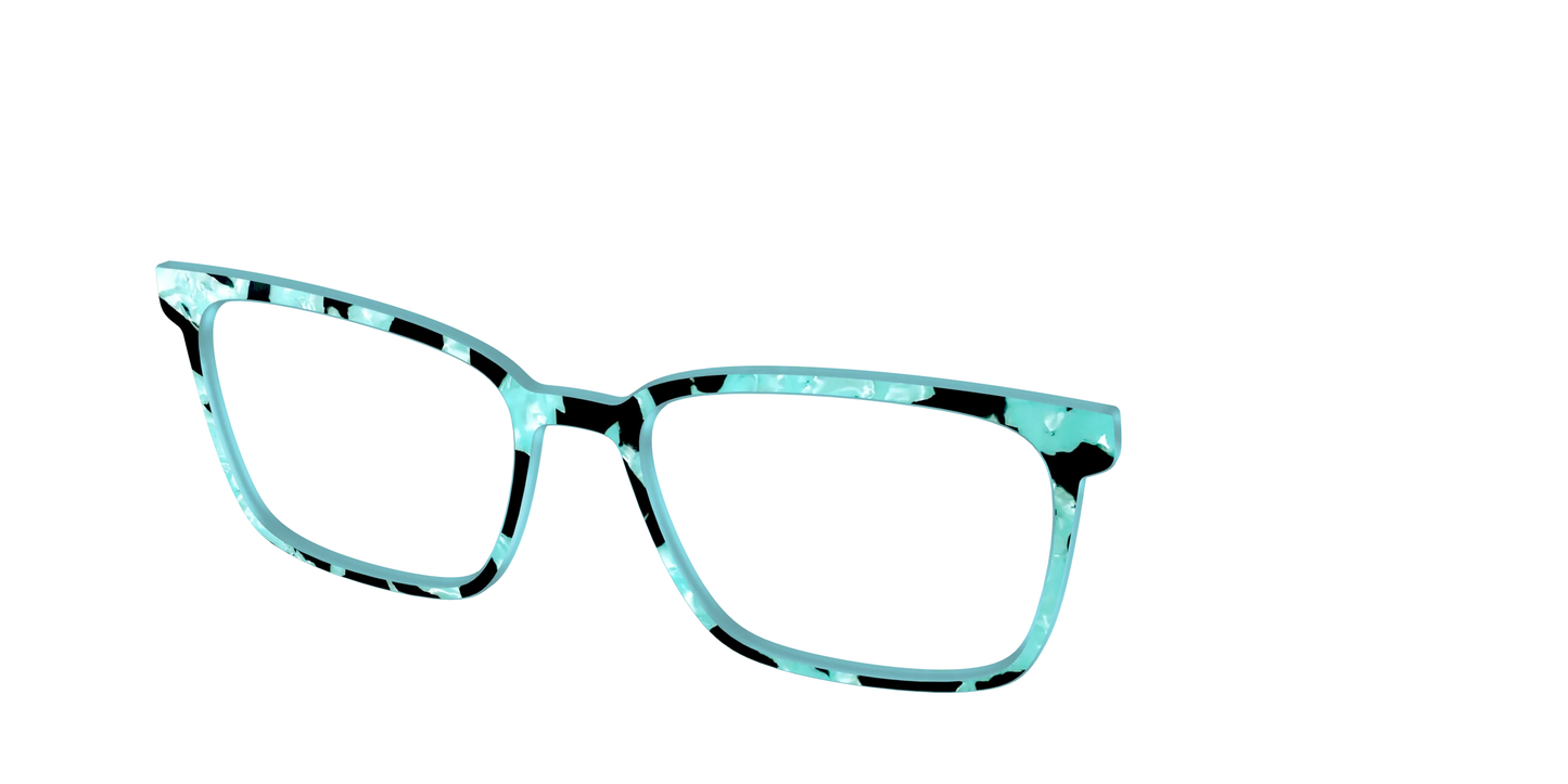 The Robin's Egg Pearl Tortoise