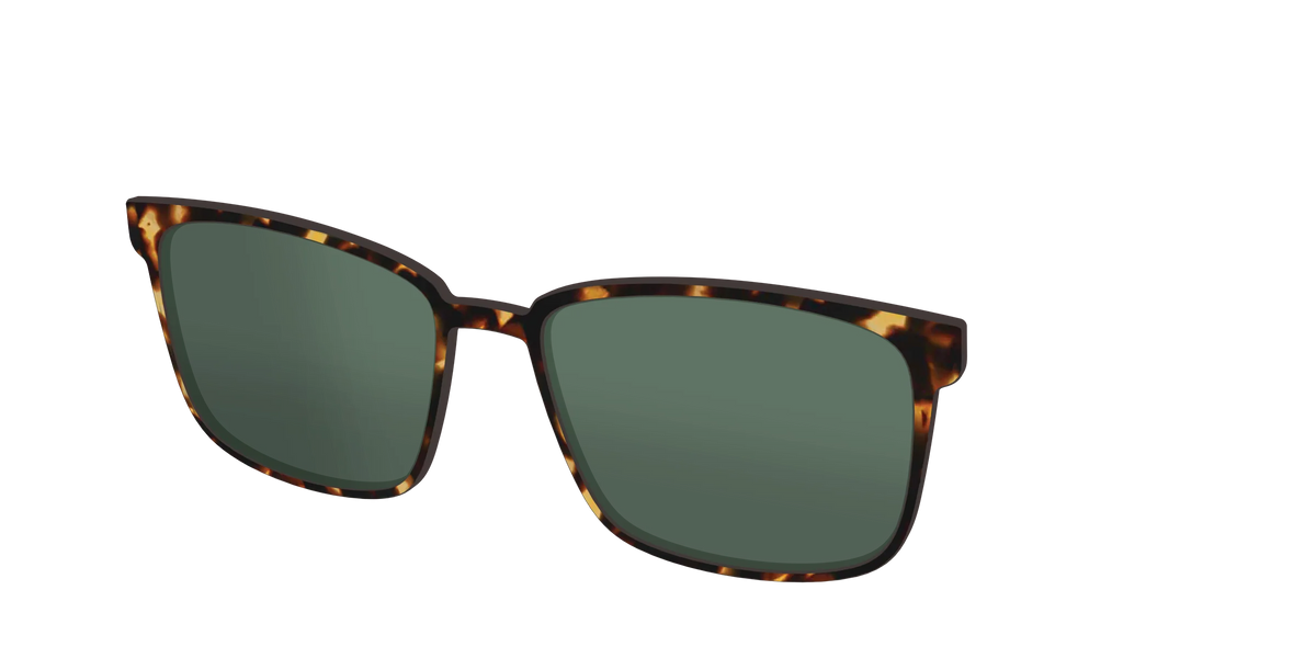 The Non-Polarized Green Tortoise Sun Top