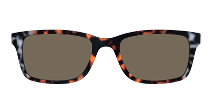 The Polarized Gray & Amber Tortoise Sun Top