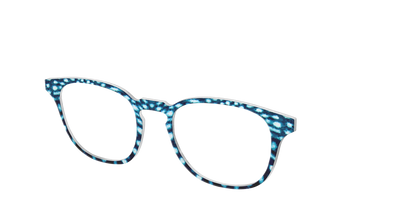 The Whale Shark Spots