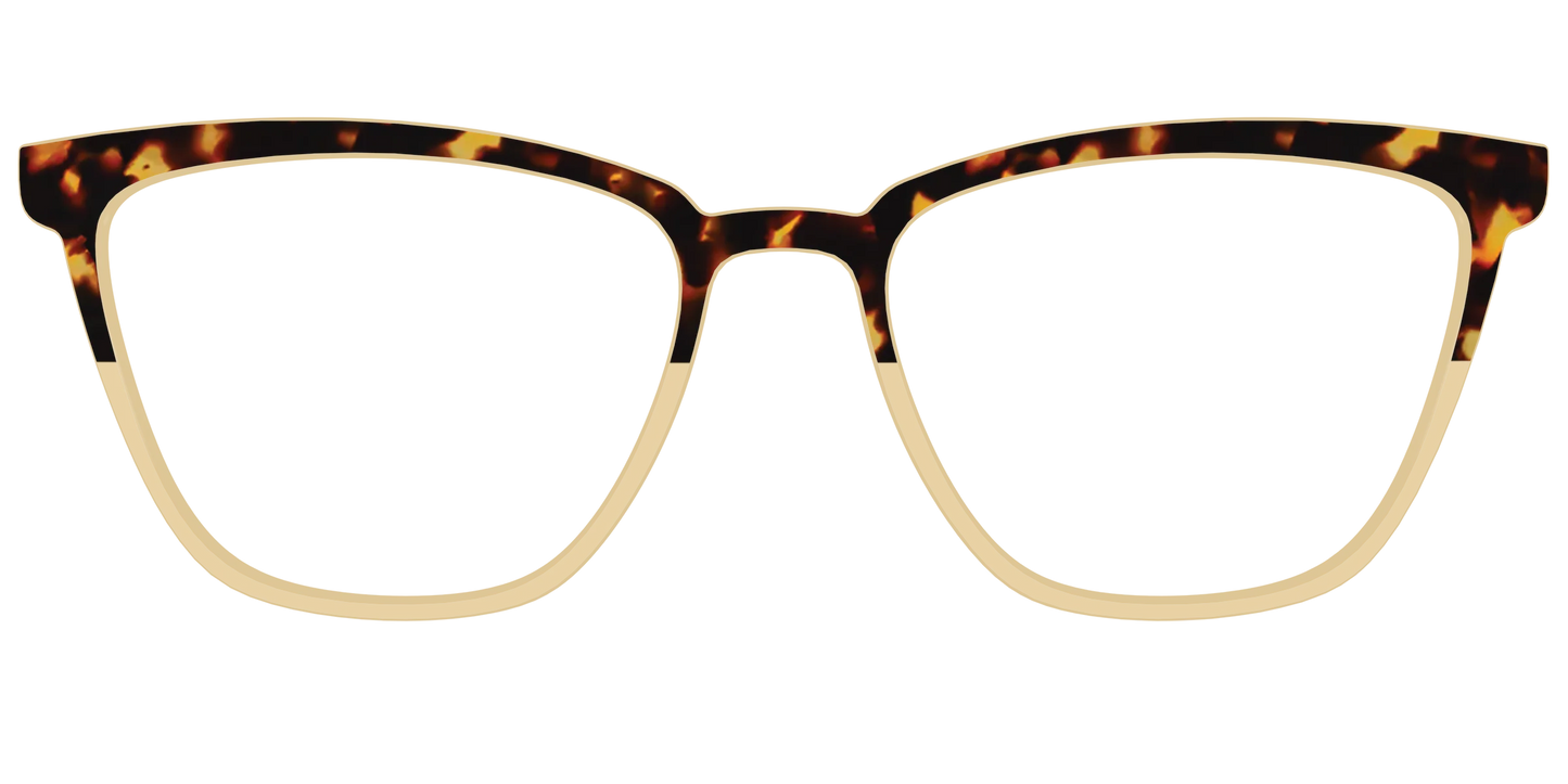 The Amber Tortoise Crystal Split
