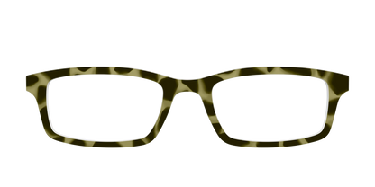 The Olive Tortoise