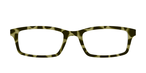 The Olive Tortoise