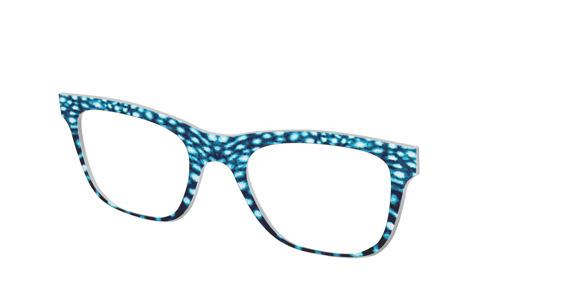 The Whale Shark Spots