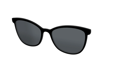 The Polarized Black Sun Top