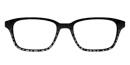The Black Cheetah