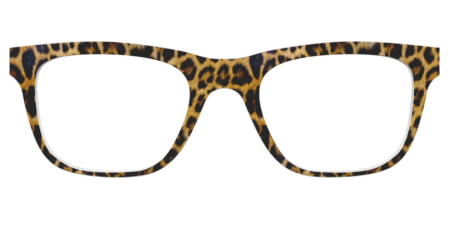 The Cheetah Spots