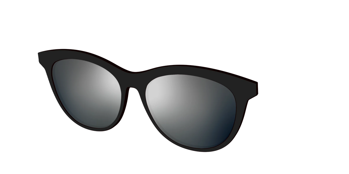 The Polarized Silver Reflective Sun Top