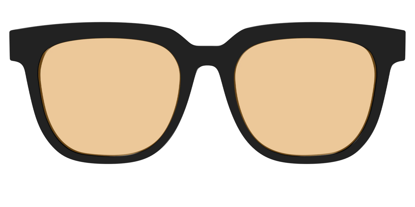The Black With Umber Brown Lens