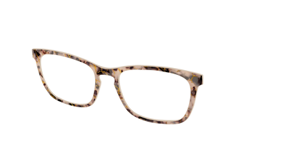 The Almond Tortoise with Gold Streaks