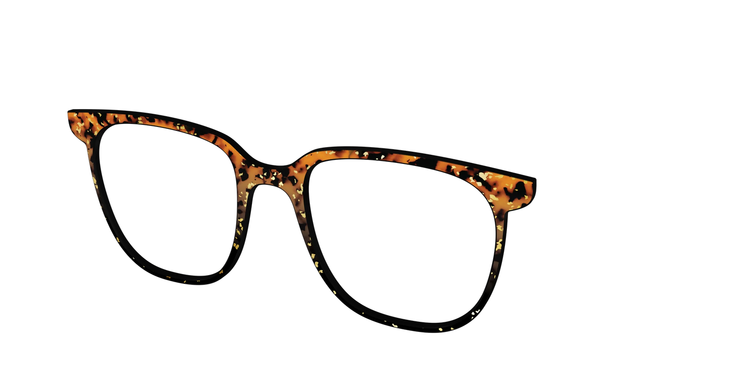The Rustic Gold Leaf Tortoise