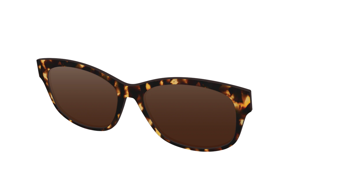 The Polarized Tortoise Sun Top