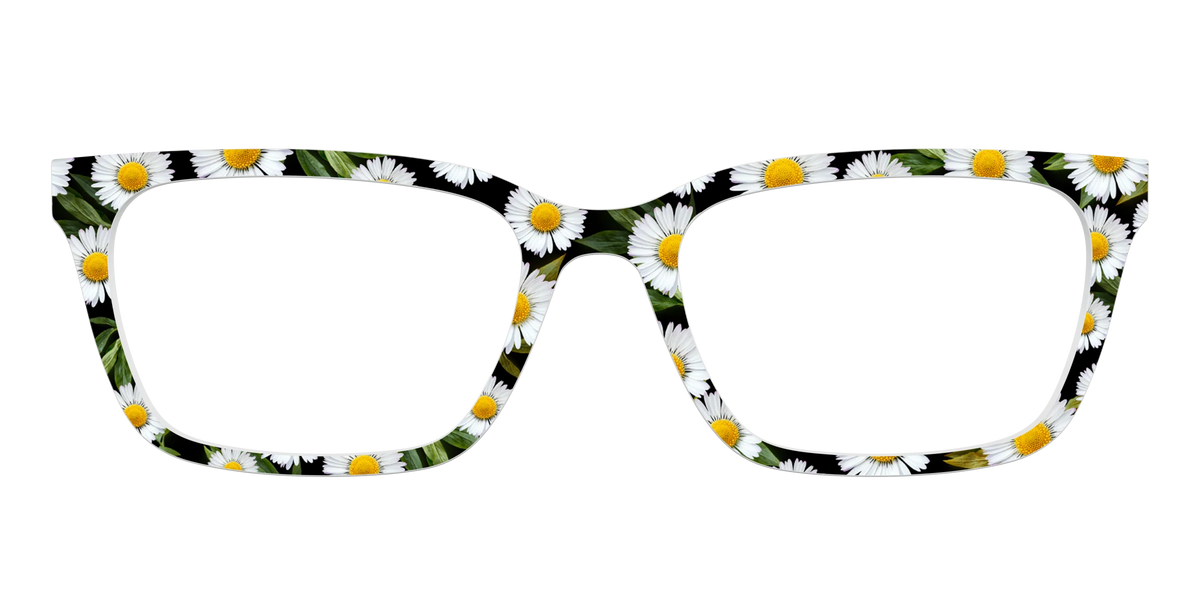 The Delicate Daisies