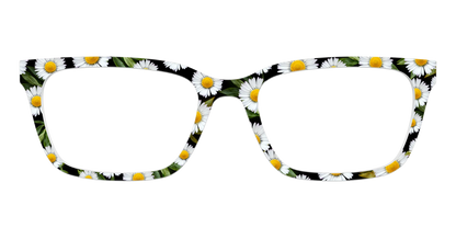 The Delicate Daisies