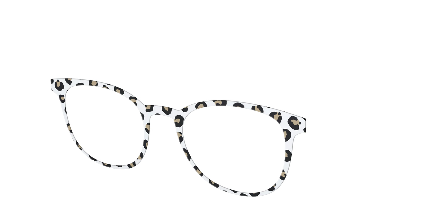 The Classic Cheetah