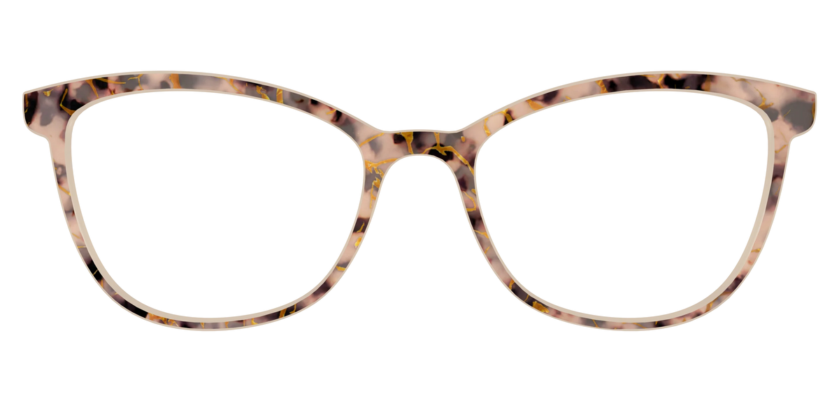 The Almond Tortoise with Gold Streaks