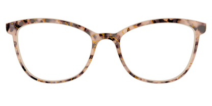 The Almond Tortoise with Gold Streaks