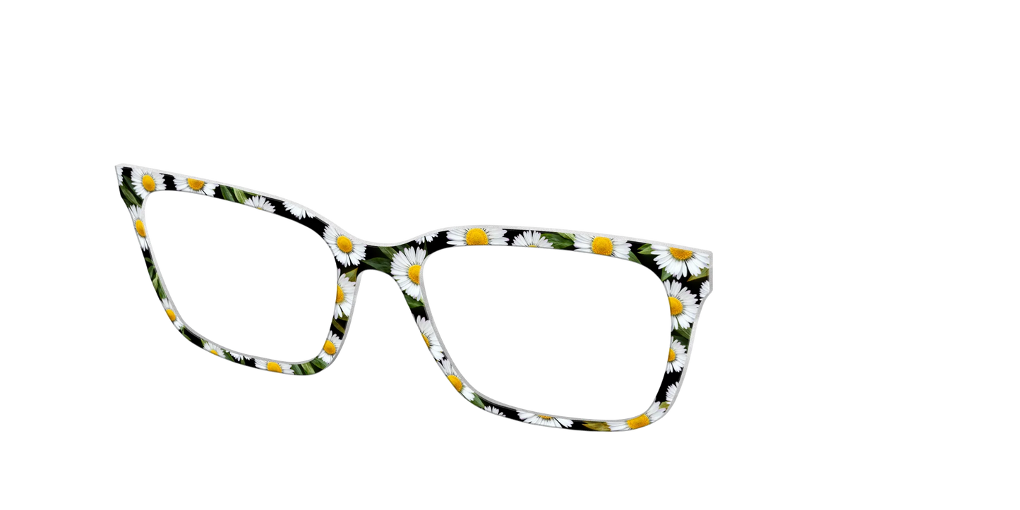 The Delicate Daisies