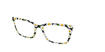 The Delicate Daisies