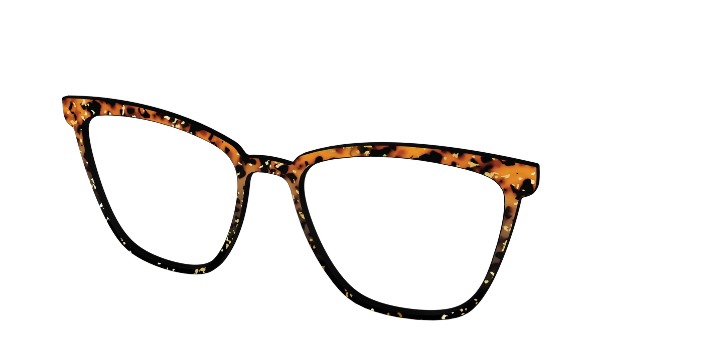The Rustic Gold Leaf Tortoise