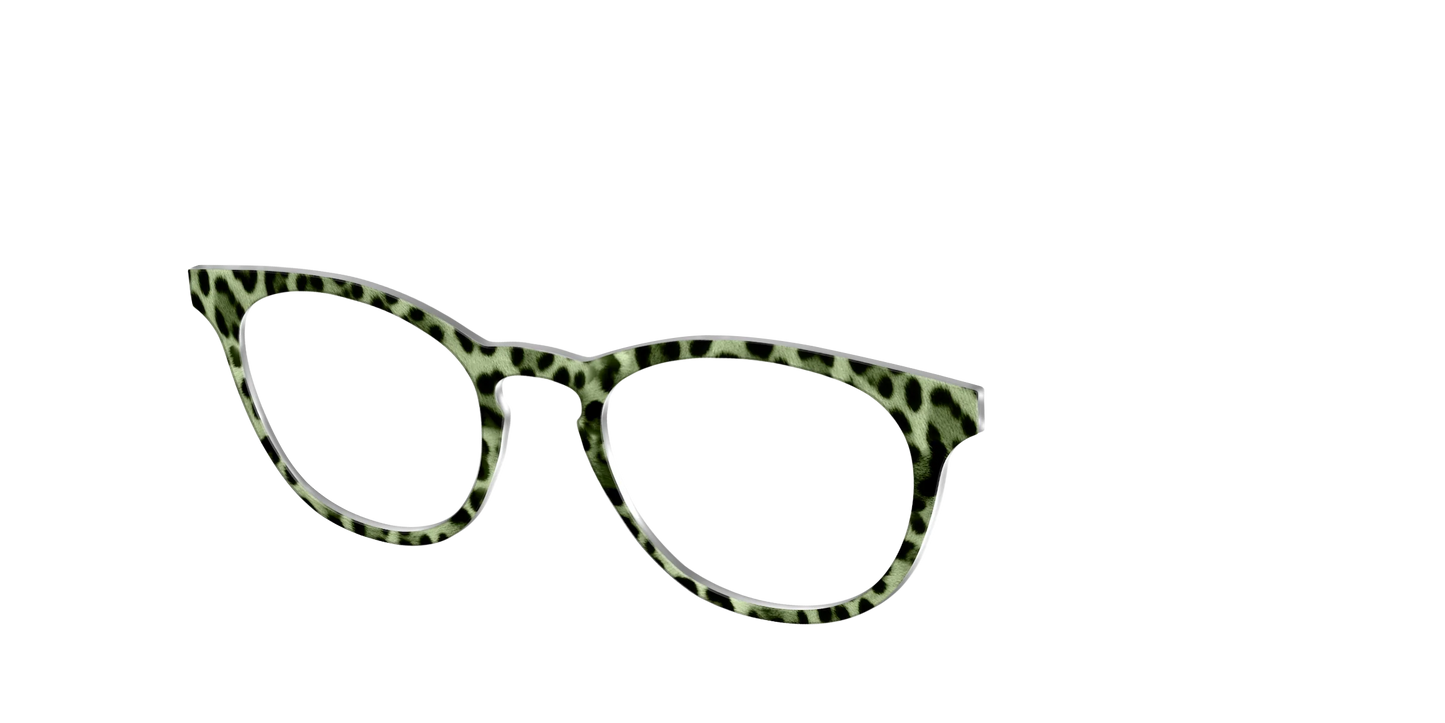 The Lucky Leopard