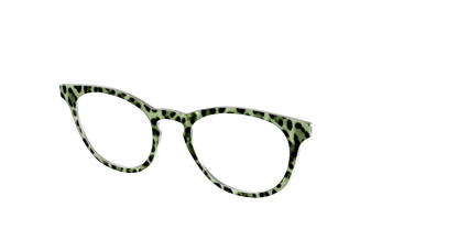 The Lucky Leopard