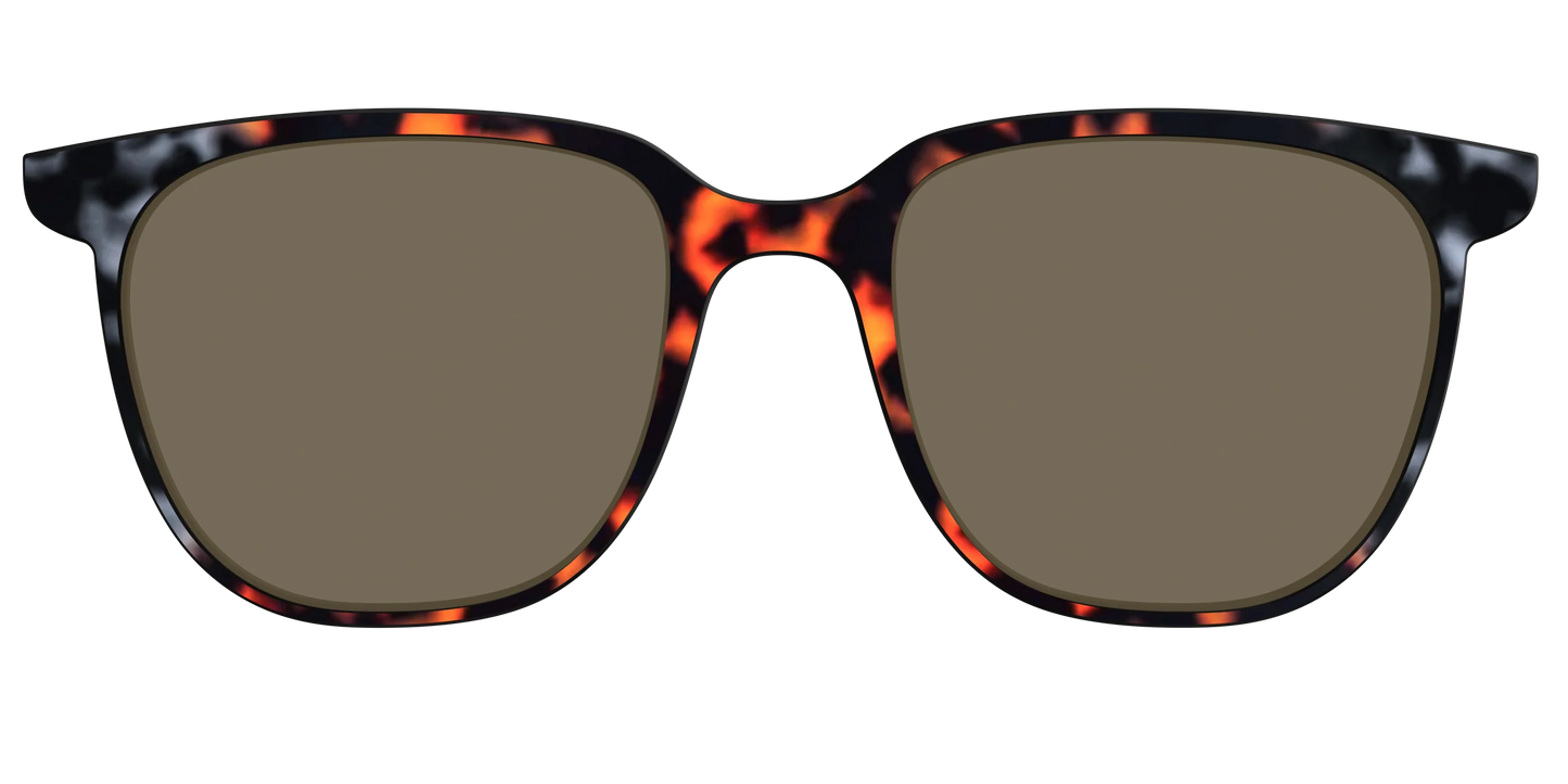 The Polarized Gray & Amber Tortoise Sun Top