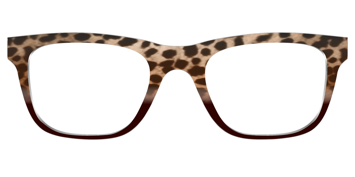 The Jungle Cat Tortoise