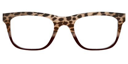 The Jungle Cat Tortoise