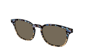 The Polarized Oasis Tortoise Split Sun Top