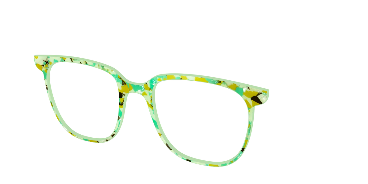 The Matcha Pearl Tortoise
