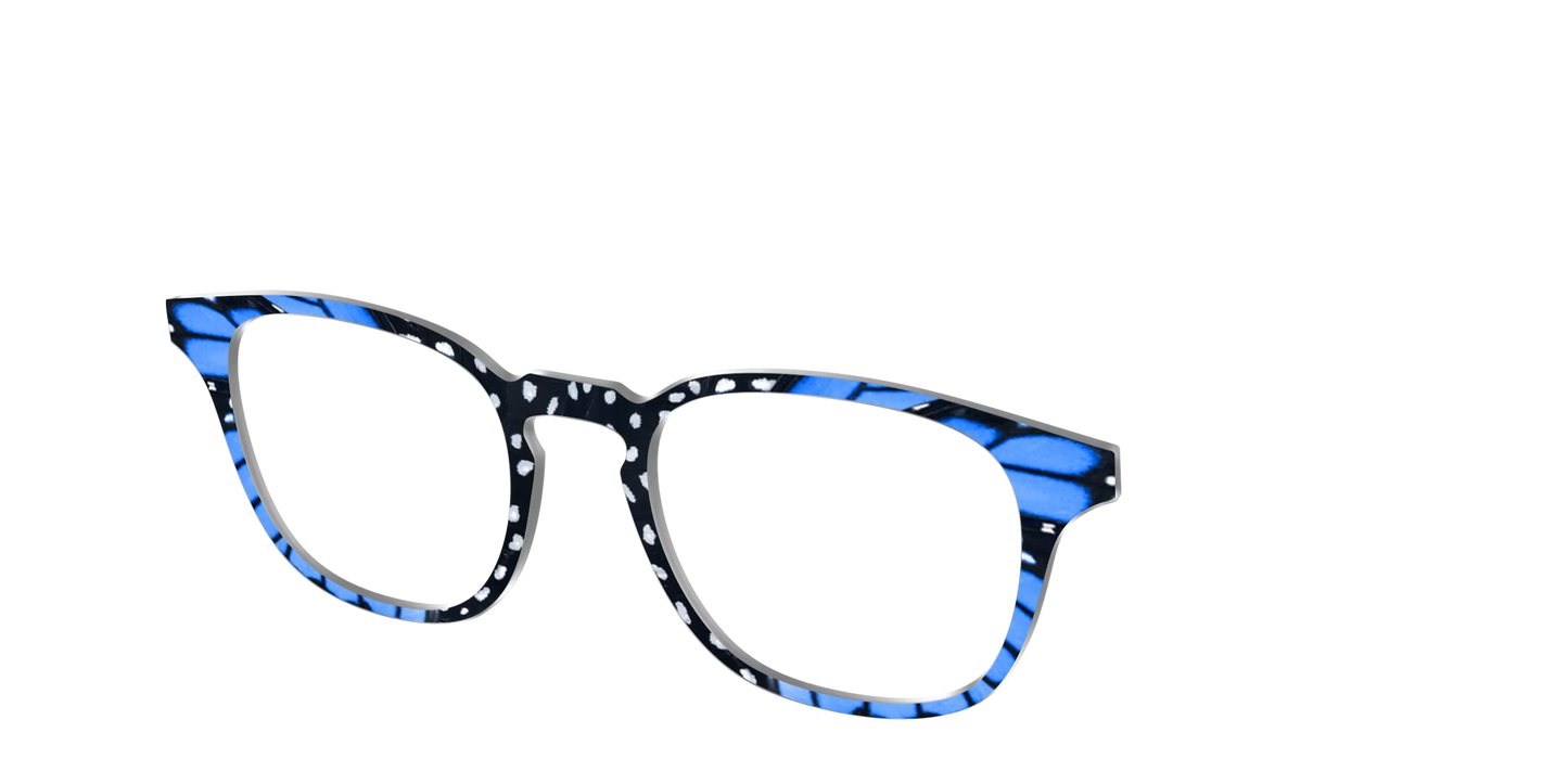 The Sapphire Butterfly