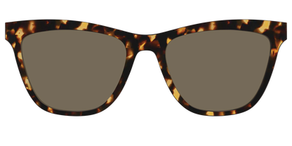 The Non-Polarized Tortoise Sun Top