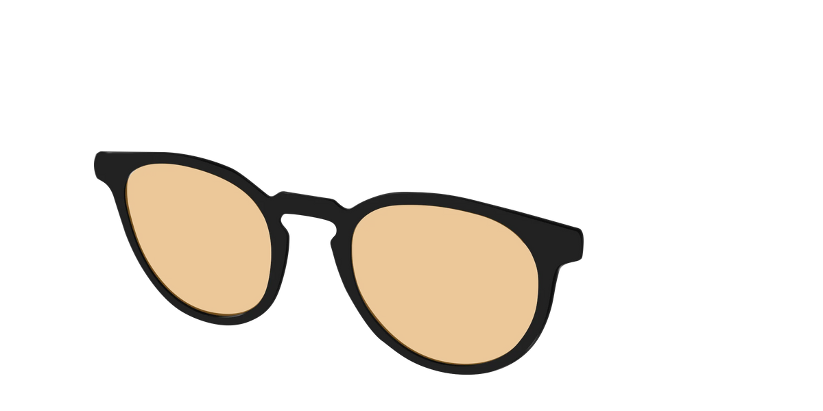 The Black With Umber Brown Lens