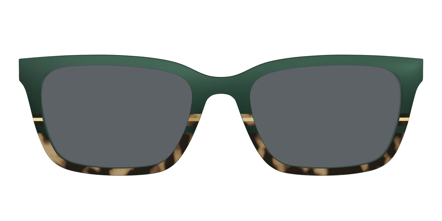 The Polarized Spruce Tortoise Sun Top