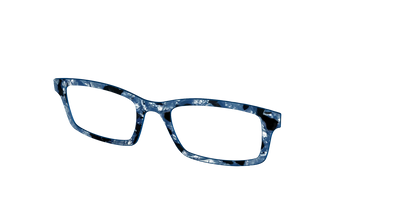 The Midnight Blue Pearl Tortoise