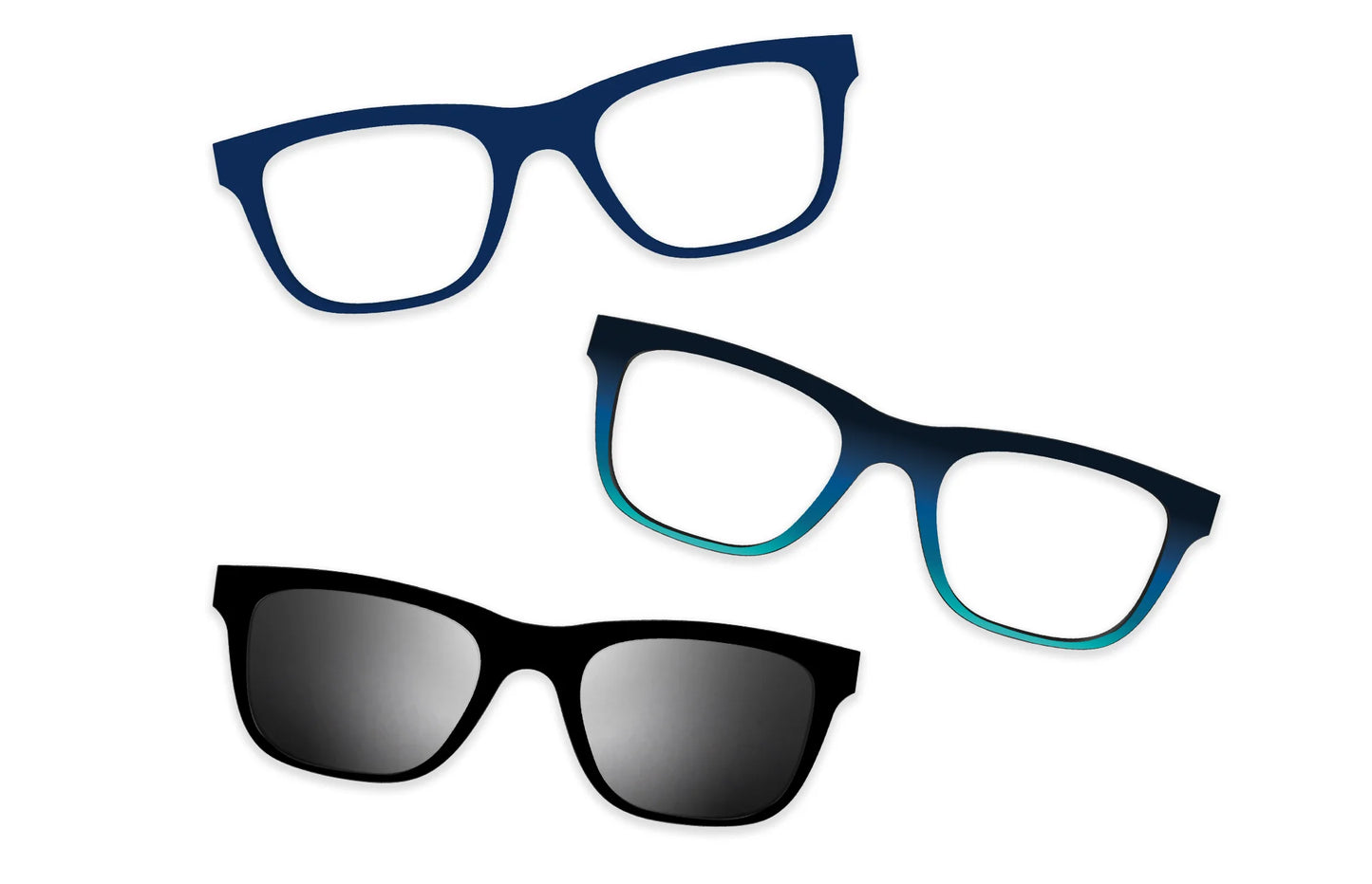 Blue Tortoise - Set