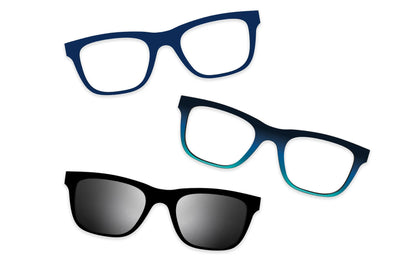 Blue Tortoise - Set