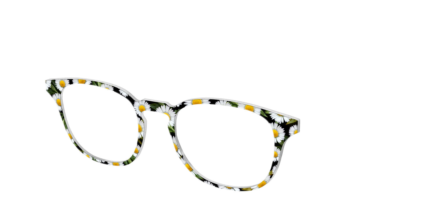 The Delicate Daisies